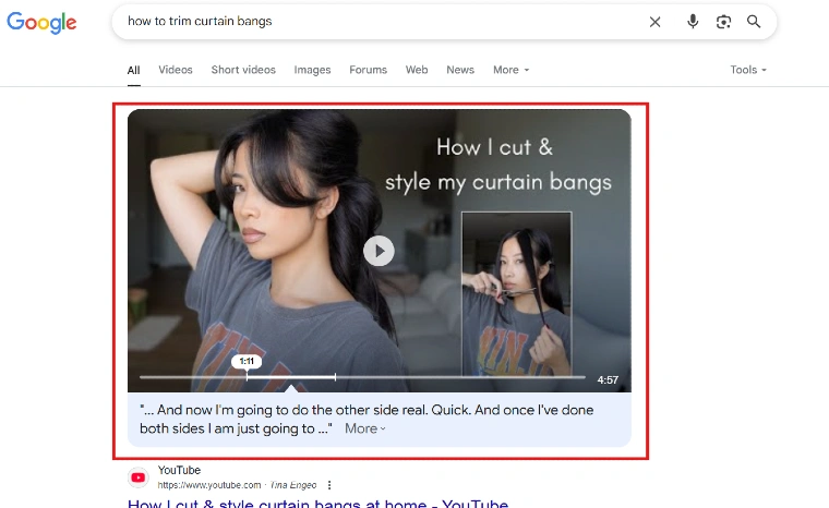 Video Snippets