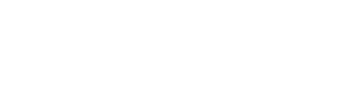 VisibilitySEO white logo footer-24