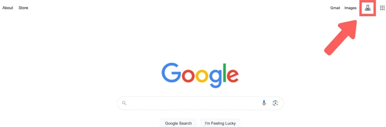How to Turn on Google SGE Screenshot