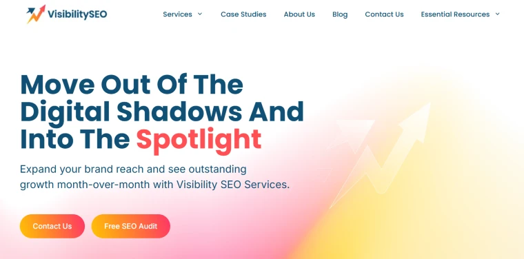 Visibility Website Screenshot