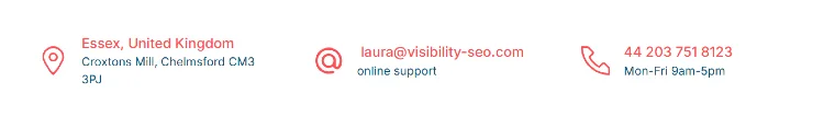 VisibilitySEO Contact Us Screenshot
