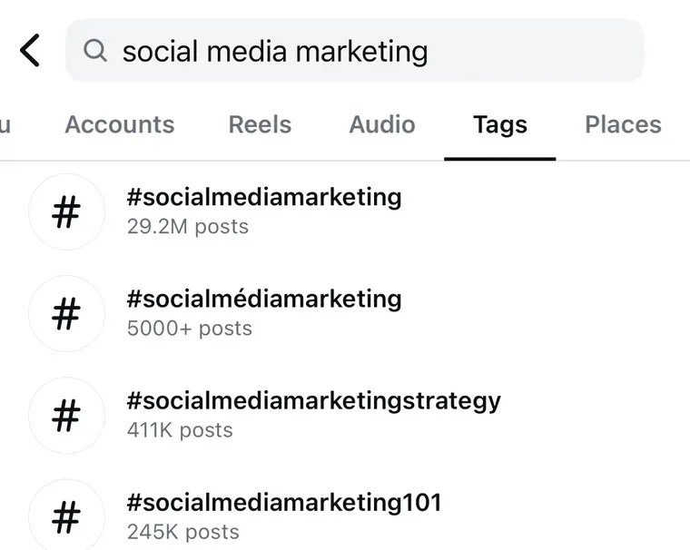 Instagram Search Screenshot 