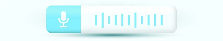 Optimize-for-Voice-Search