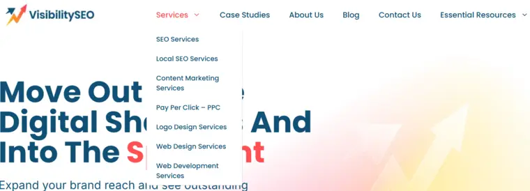 Visibility SEO Main Categories Screenshot