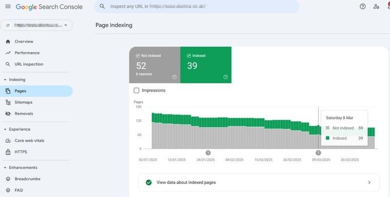 Google-Search-Console-Indexing-Screenshot