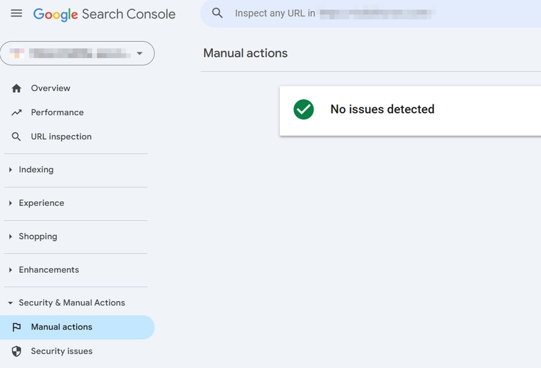Google-Search-Console-Manual-Actions-Screenshot-1