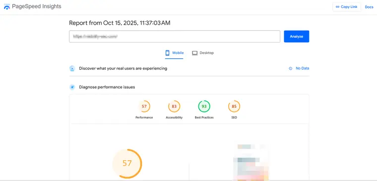 PageSpeed Insights screenshot - Visibility SEO